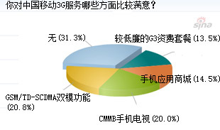 2009-2010年中國(guó)3G用戶網(wǎng)絡(luò)調(diào)查報(bào)告 投資策略、分析預(yù)測(cè)及市場(chǎng)調(diào)研