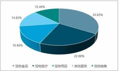 2021年寵物行業(yè)市場競爭格局與市場服務(wù)深度分析報告